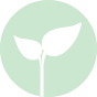 ico1